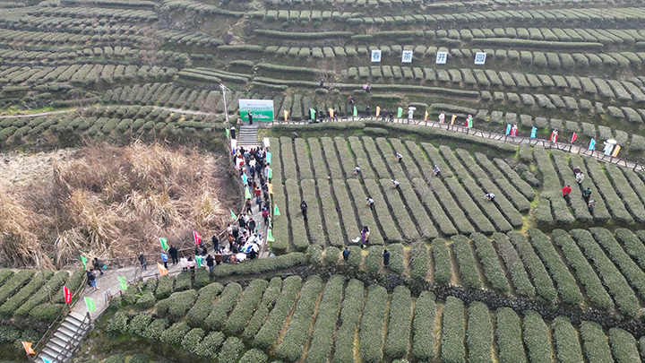 720---图1.jpg