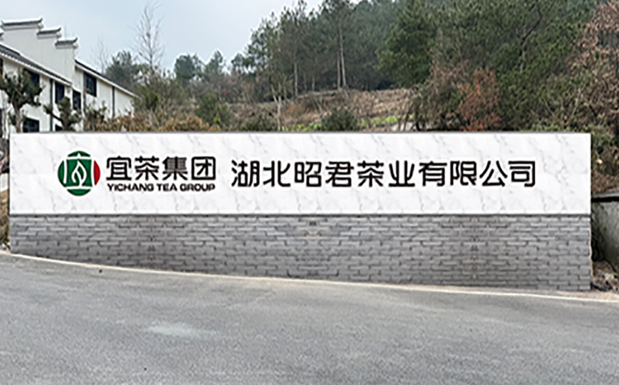 CA88集团昭君茶业