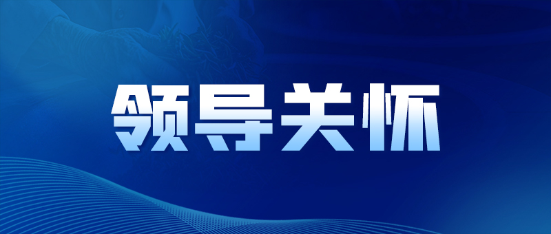 领导关怀/宜昌市国资委党委书记、主任黄智华到CA88集团成员企业调研