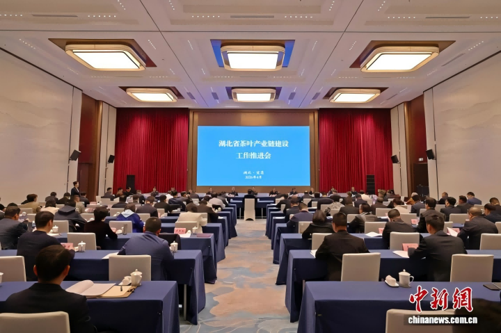 720--中新网：01(1).png